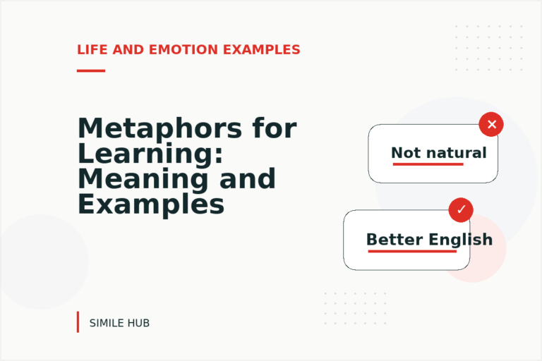 Metaphors for Learning: Meaning and Examples Metaphors for Learning: Meaning and Examples