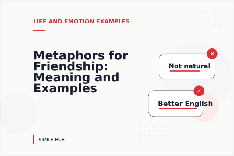 Metaphors for Friendship: Meaning and Examples